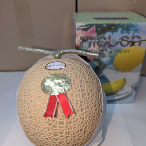 【贈答用メロン】静岡マスクメロン7月1日より　等級　白【芳醇な香りと甘さ♪】