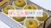 【キズ物ご家庭用に♪】あきづき梨（８～９玉）水分たっぷりでジューシー♪