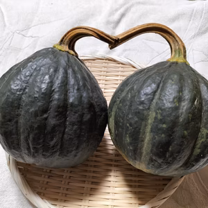 鉄かぶと★肉厚でジューシーなカボチャ！(かぼちゃ、南瓜)