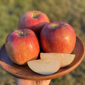 【先行予約】『シナノスイート』家庭用　ジュワッと甘〜い人気品種！