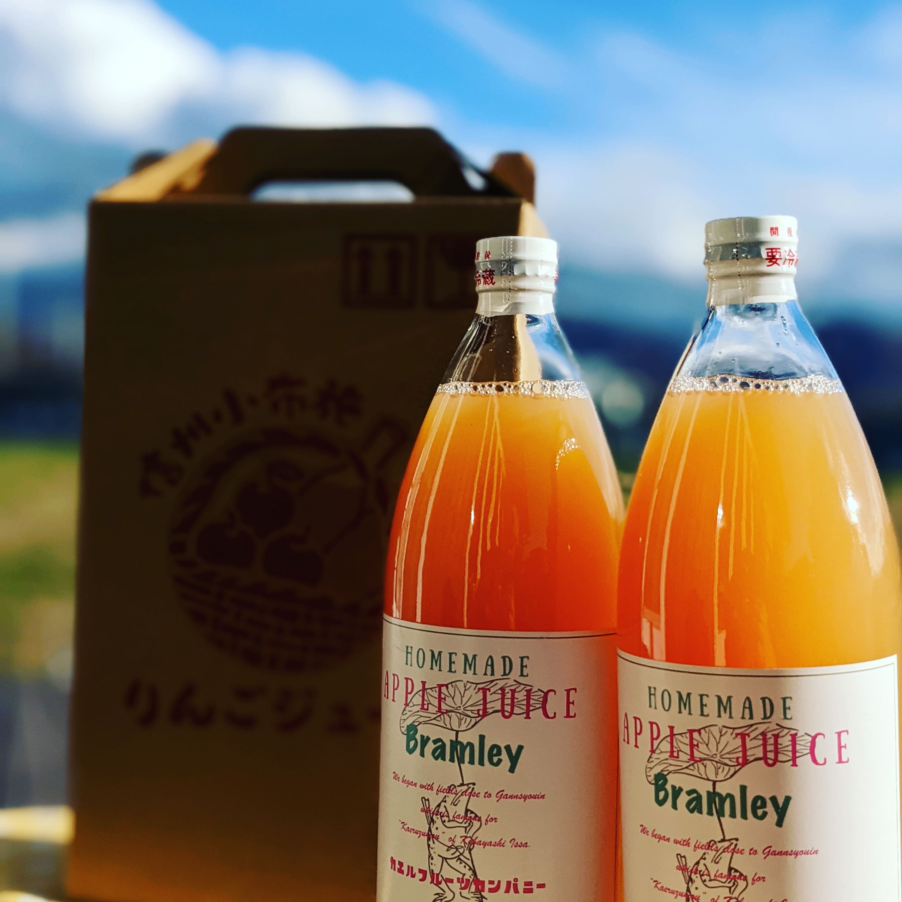 酸っぱい青りんごジュース。【ブラムリー】アップルジュース | 農家漁師から産地直送の通販 ポケットマルシェ