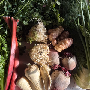 野菜詰め合わせ