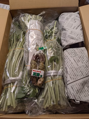 みんなの投稿の画像