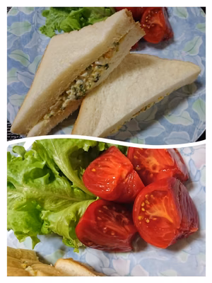 みんなの投稿の画像