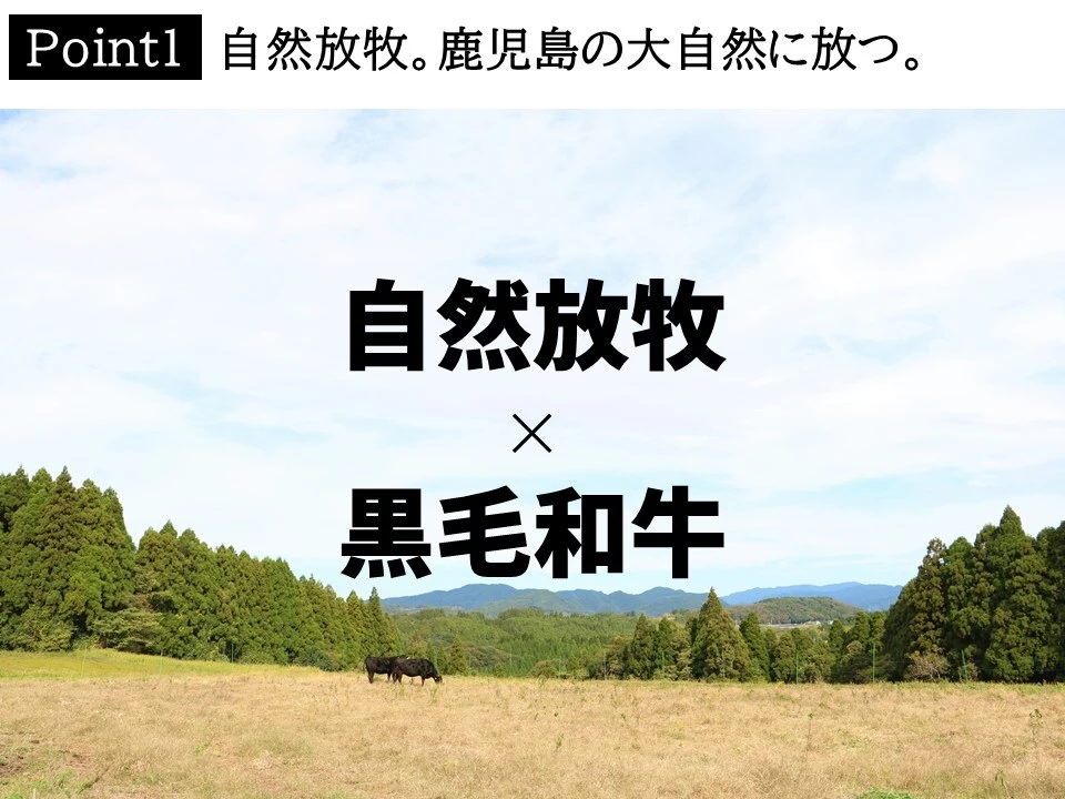 【お試し割35%OFF♪】自然派黒毛和牛ホルモン3種各400gセット 調理簡単♪