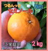 つるんっと『セミノール』ご家庭用　2 kg（箱込）送料無料60