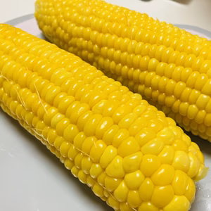 冬スイートコーン