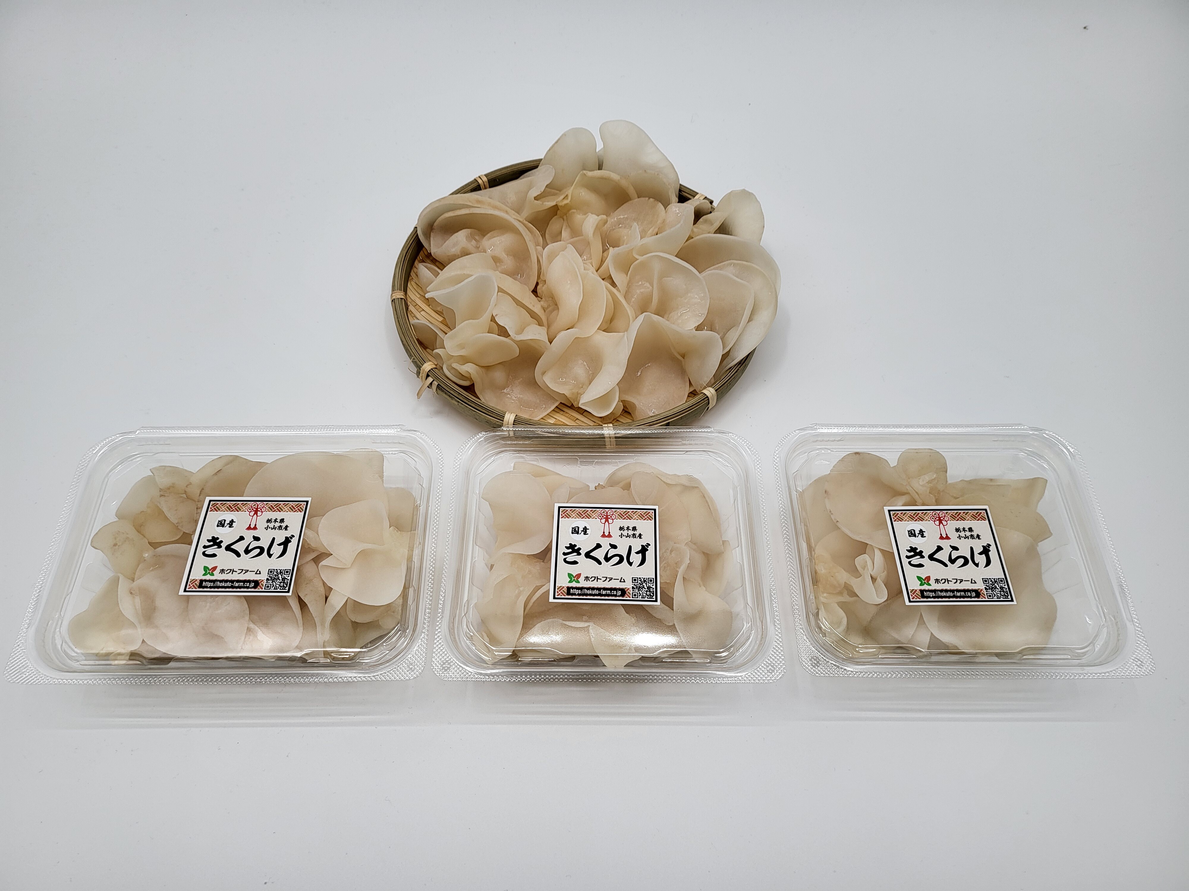 国産生きくらげ（白）｜キクラゲの商品詳細｜ポケットマルシェ
