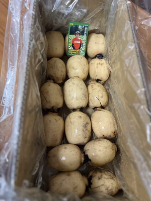 みんなの投稿の画像