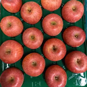 超大玉贈答品‼️秀品樹上完熟蜜入りサンふじ5キロ13-14減農薬栽培