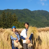 貞光実里 | お結び自然農縁