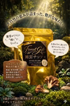 ForestGift 舞茸チップス
