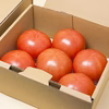 酸味と甘みのバランス抜群！三重県産 完熟大玉トマト『富丸ムーチョ』(1.2㎏)