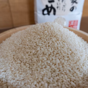【もち米こゆきもち 精米】【令和3年秋収穫】山形置賜飯豊　山形県オリジナルもち米