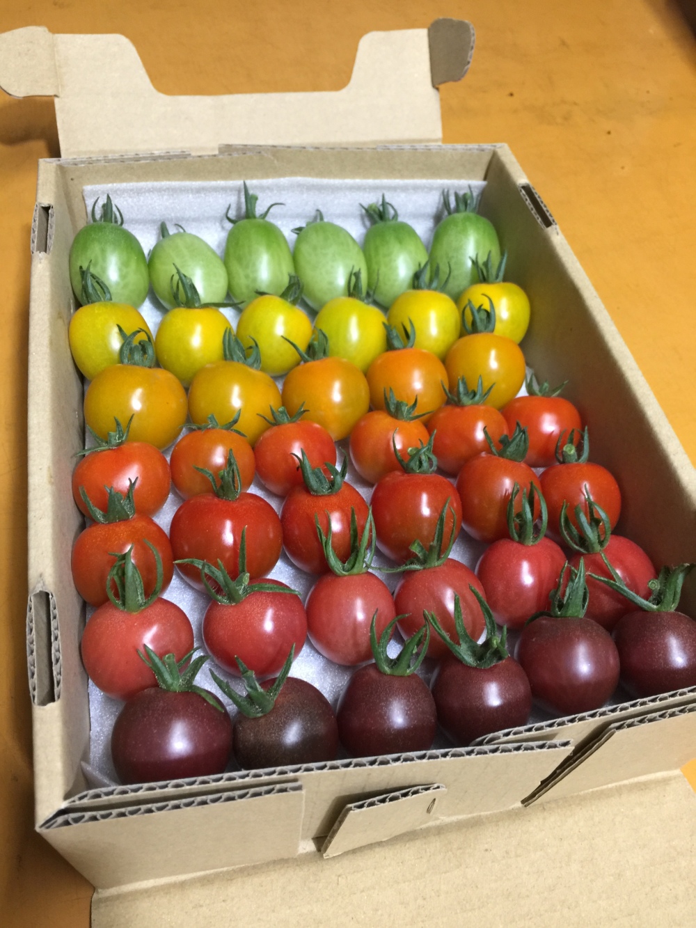 レインボートマト 約1 2キロ トマト 七色に輝いて 農家漁師から産地直送の通販 ポケットマルシェ