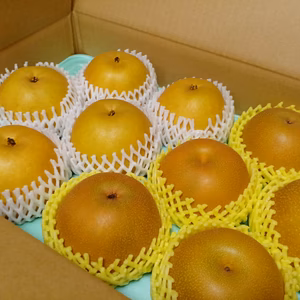 ASH-5 梨食べ比べ！贈答用【新美月＆豊水】5Kg(10.8玉）