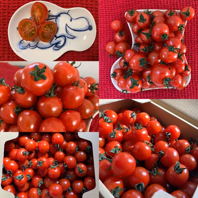 みんなの投稿の画像