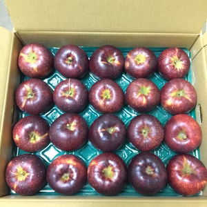 長野県中野市産  秋映 家庭用5キロ