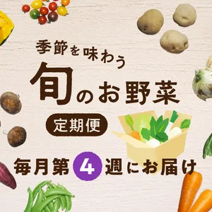 【第4週お届け】季節を味わう　旬のお野菜定期便