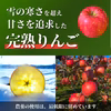 【数量限定】青森県サンふじ！3kg家庭用！自然の恵みたっぷり《リピート多数》