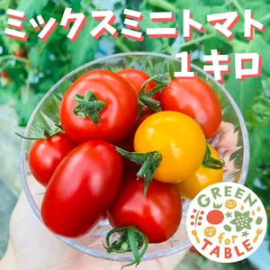 フルーツミニトマト【ミックス】１キロ