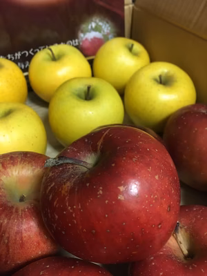 みんなの投稿の画像