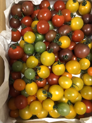 みんなの投稿の画像