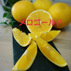 限定10箱！【レア✖レア✖レア】 3種類セット 春柑橘詰め合わせ