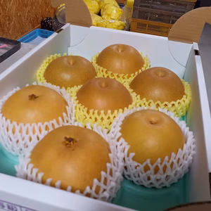 ASH-3 梨食べ比べ！贈答用【新美月＆豊水】３Kg(6.7.8玉）