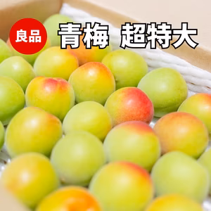 良品【紀州南高　青梅】　　超特大(4L以上)1㎏～