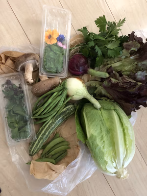 みんなの投稿の画像