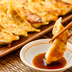 【ジビエ初心者におすすめ】鹿餃子～凍ったままフライパンに並べるだけ