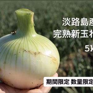 淡路島玉ねぎ♡完熟新玉ねぎ‼️早生品種 20kg箱入