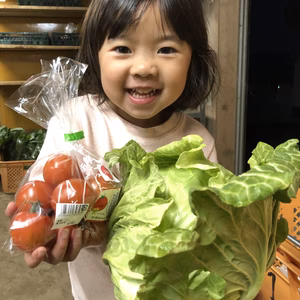 おいしい春キャベツと濃厚フルティカの春野菜セット
