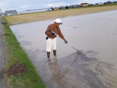 みんなの投稿の画像