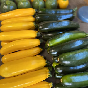 ズッキーニ、丸ズッキーニ ランダム3キロ 露地栽培