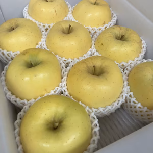 新品種「はるか」近年注目度の高い特別な甘みのあるリンゴ