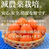 小ぶりトマト！りんか⭐️たっぷりで人気の小ぶり‼️