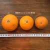 濃厚な甘さ！ご家庭向きの清峰オレンジ【農薬不使用】