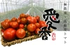 【7月下旬より発送】高糖度トマト 3kg　化学肥料・農薬完全不使用　青森県産