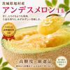 【令和5年品質優良賞受賞】茨城県産 アンデスメロン１玉