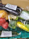JAS有機☆特栽野菜を信州諏訪湖の畔から✨夏秋野菜をクールで