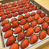 小粒いちご60〜70粒入り