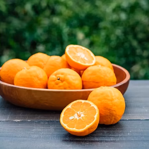 ★豊作記念★【爽やかな香りと濃厚なコク】熟成今津ポンカンAセレクション（家庭用）