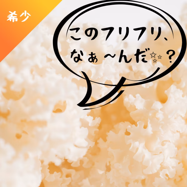 食卓に真っ白な花が咲く！幻のキノコ、ホホホタケ