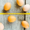 ❗️05日までの限定セール❗️✨災い転じてオレンジ色タマゴ(赤）×45個✨