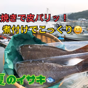 丸ごとイサキ（いさき）