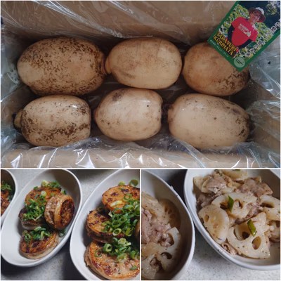 みんなの投稿の画像