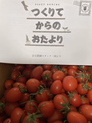 みんなの投稿の画像