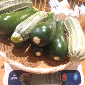 ◆早いものがち◆ズッキーニ10本。農薬、化学肥料は使ってません。